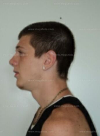 Dalton K Ashlock