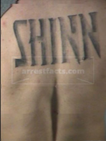 Jason A Shinn