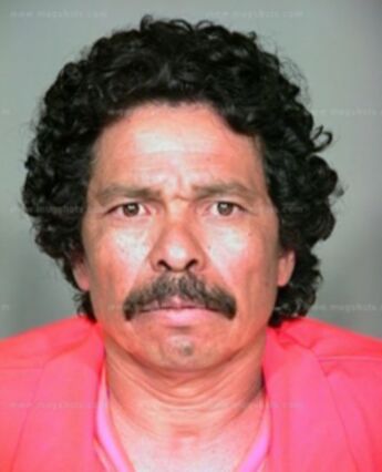 Pedro Bernal