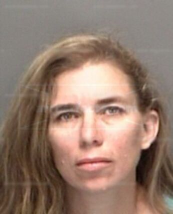 Sandra L Anderson