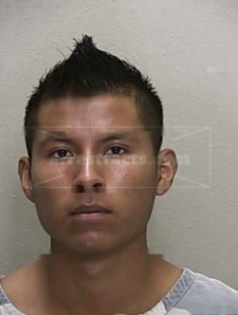 Guadalupe Hernandez-Sanchez