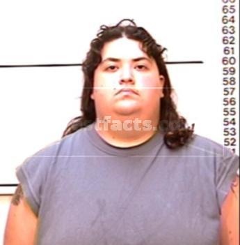 Angelica Ysenia Ibarra