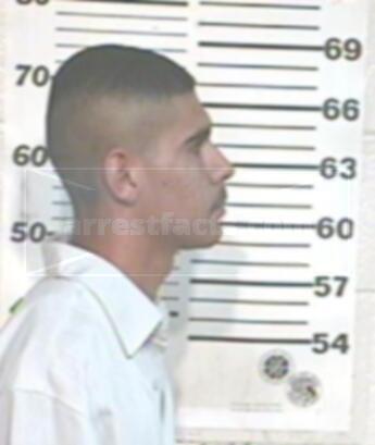 Silvestre Vela