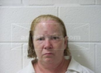 Lisa D Cook