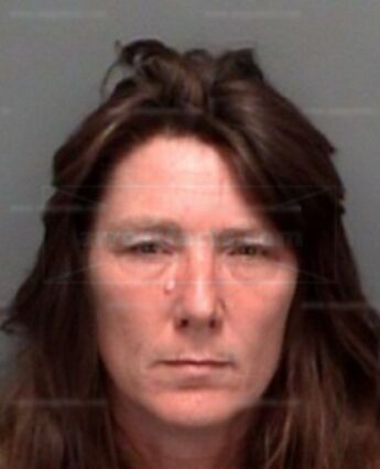 Teresa Ann Peden