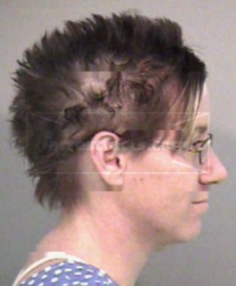 Heather L Willard