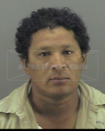 Armando Solomon