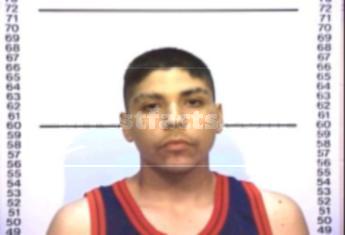 David Flores Gonzales