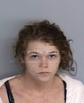 Amanda Nicole Bowman