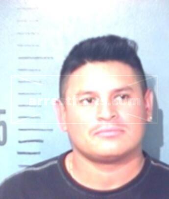Luis Castillo-Morales