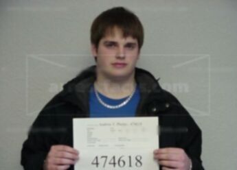 Andrew T Phelps