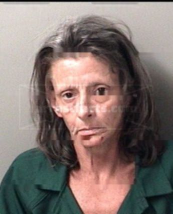 Terri Lynn Avery