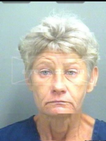 Dayle Ellen Workman