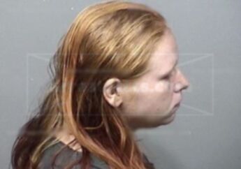 Lesa Nicole Nolin