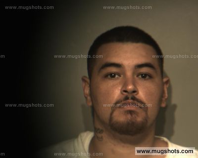 Francisco Vega Ford Ortiz