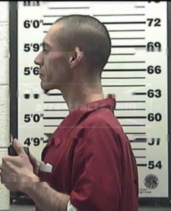 Robin Francisco Wood