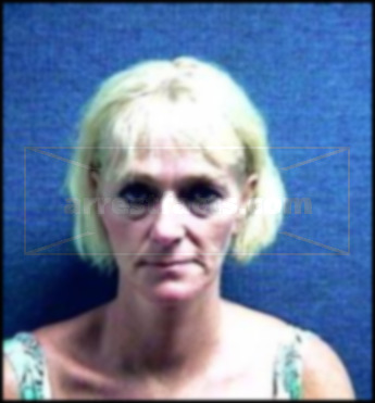 Cynthia Lynne Johnson