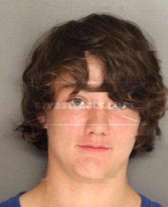 Austin J Gregorich