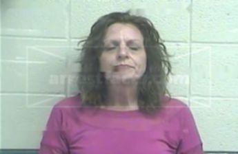Cynthia Carol Blevins
