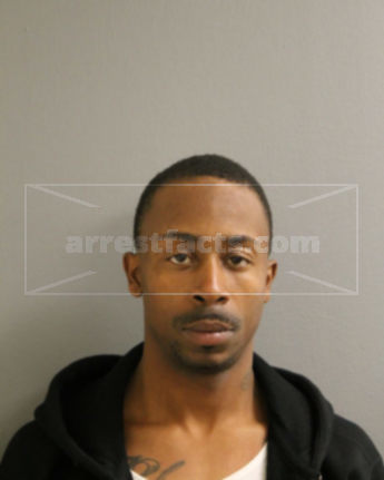 Tony D Nelson