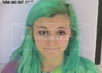 Allison Michelle Norwood