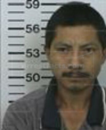 Reynoldo F Diaz