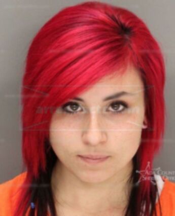 Canella Melissa Rose
