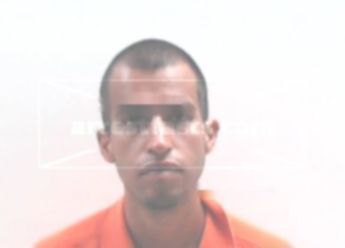 Guadalupe Sanchez Jr.