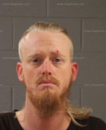 Lincoln Marion Davis