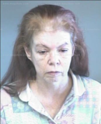 Karen Porter Hodgins