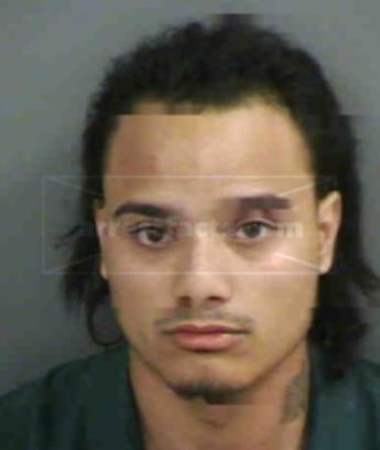 Andrew T Flores