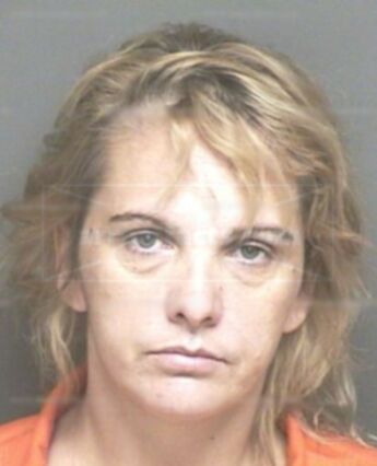 Teresa Lee Snyder
