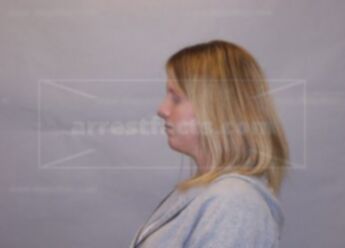 Britney L Bauer