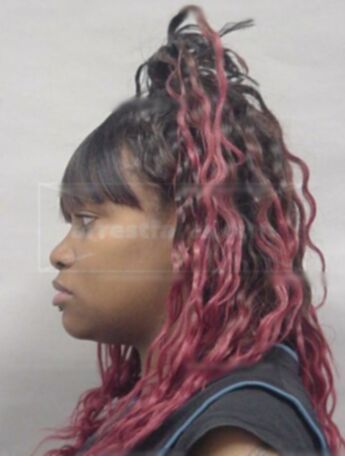 Charisse L Mims