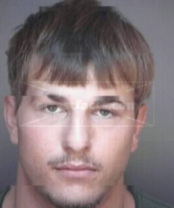 Brandon M Giesey