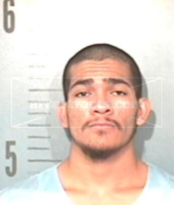 Julian Ray Nava