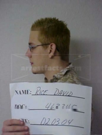 David A Rice