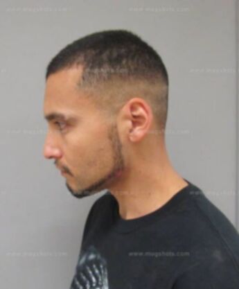 Nelson Mendez Jr.