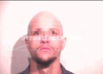 Evan W Salisbury