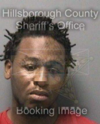 Derrick L Knott