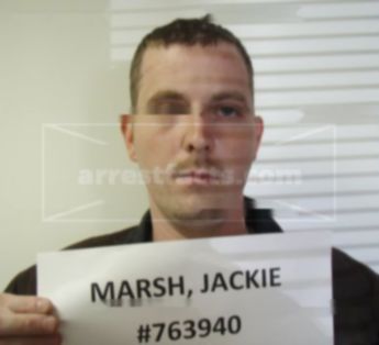 Jackie Tulis Marsh