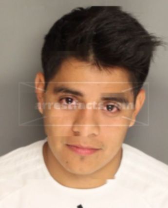 Benjamin Ojeda-Martinez