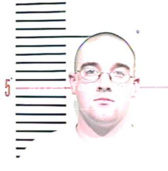 Stephen Leone Hill
