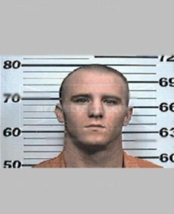 David A Hayslip
