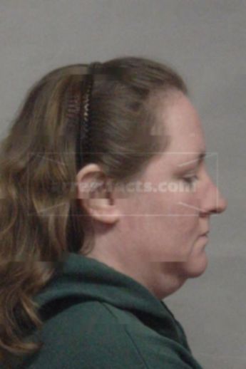 Lisa J Johnson
