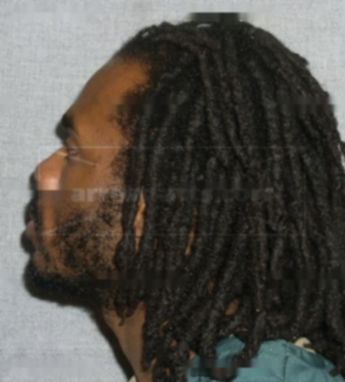Travis Williams