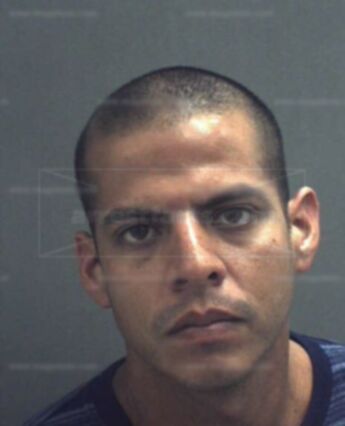 Willson Alfre Mirelesgonzalez