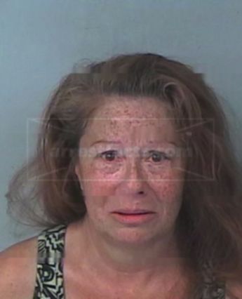 Anne M Barkman