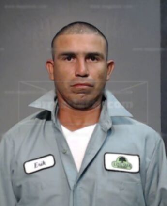 Erik Roy Castillo