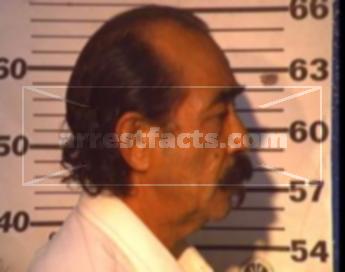Celestino Guzman Ramirez